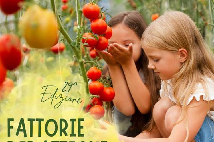 copertina guida fattorie didattiche 2024.pdf.jpg