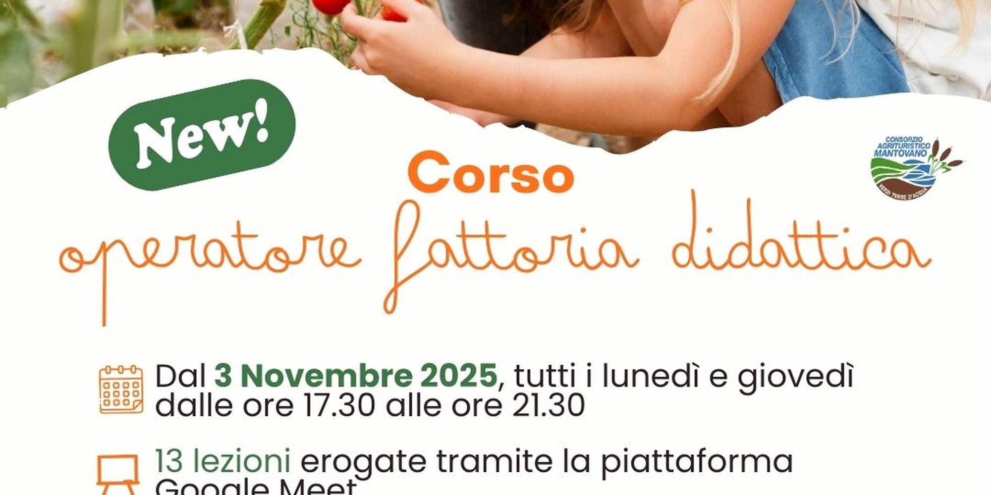 post Consorzio - template (4).jpg