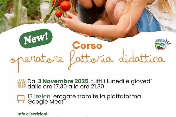 post Consorzio - template (4).jpg